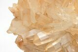 Tangerine Quartz Crystal Cluster with Wood Base - Madagascar #205883-5